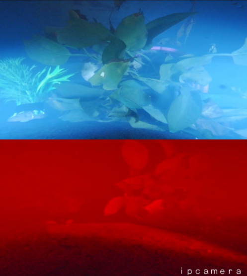1779159529186278.png 深水荧光双目网络摄像机的效果.png